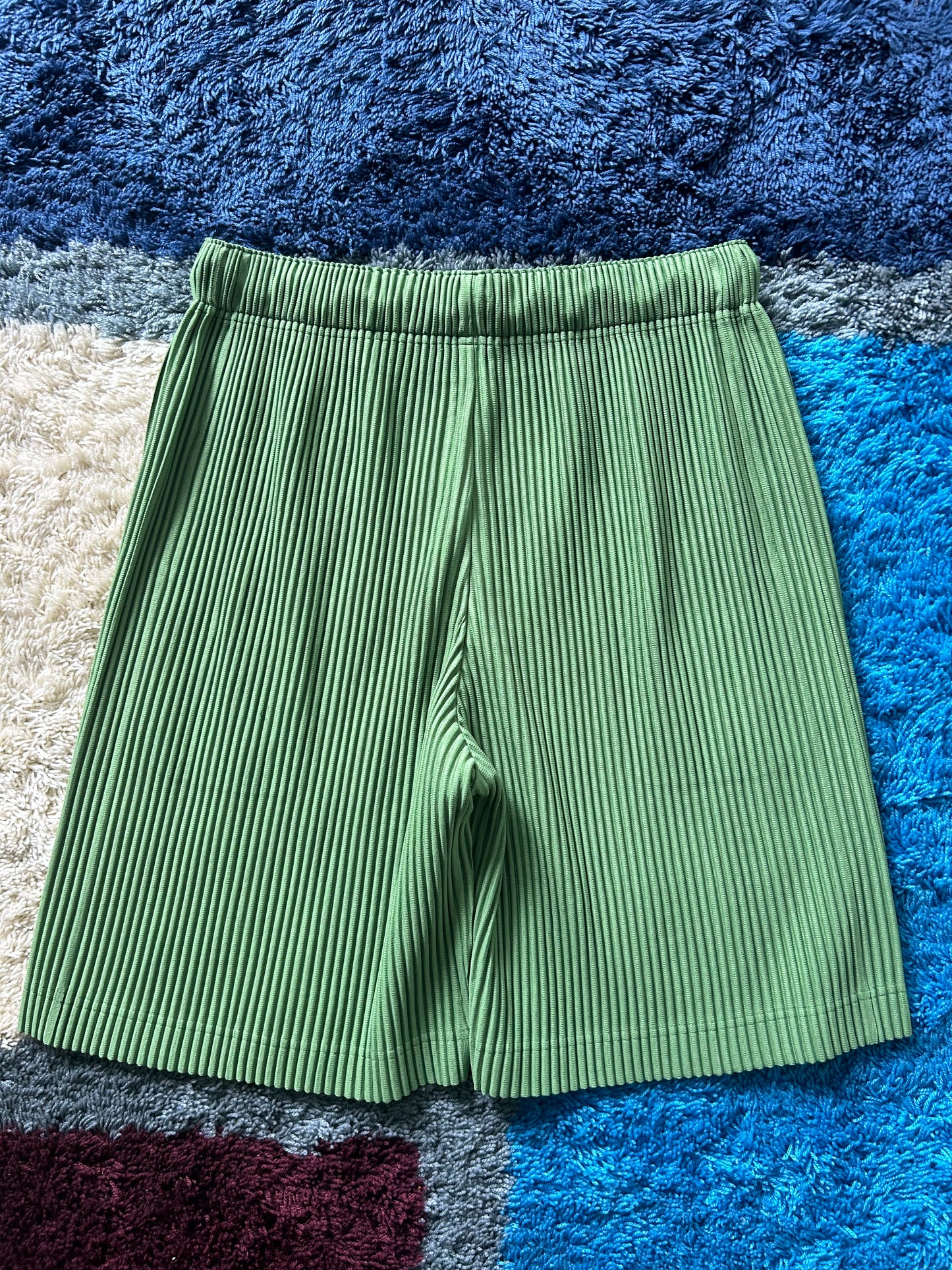 Issey Miyake Homme Plisse Pleated Shorts